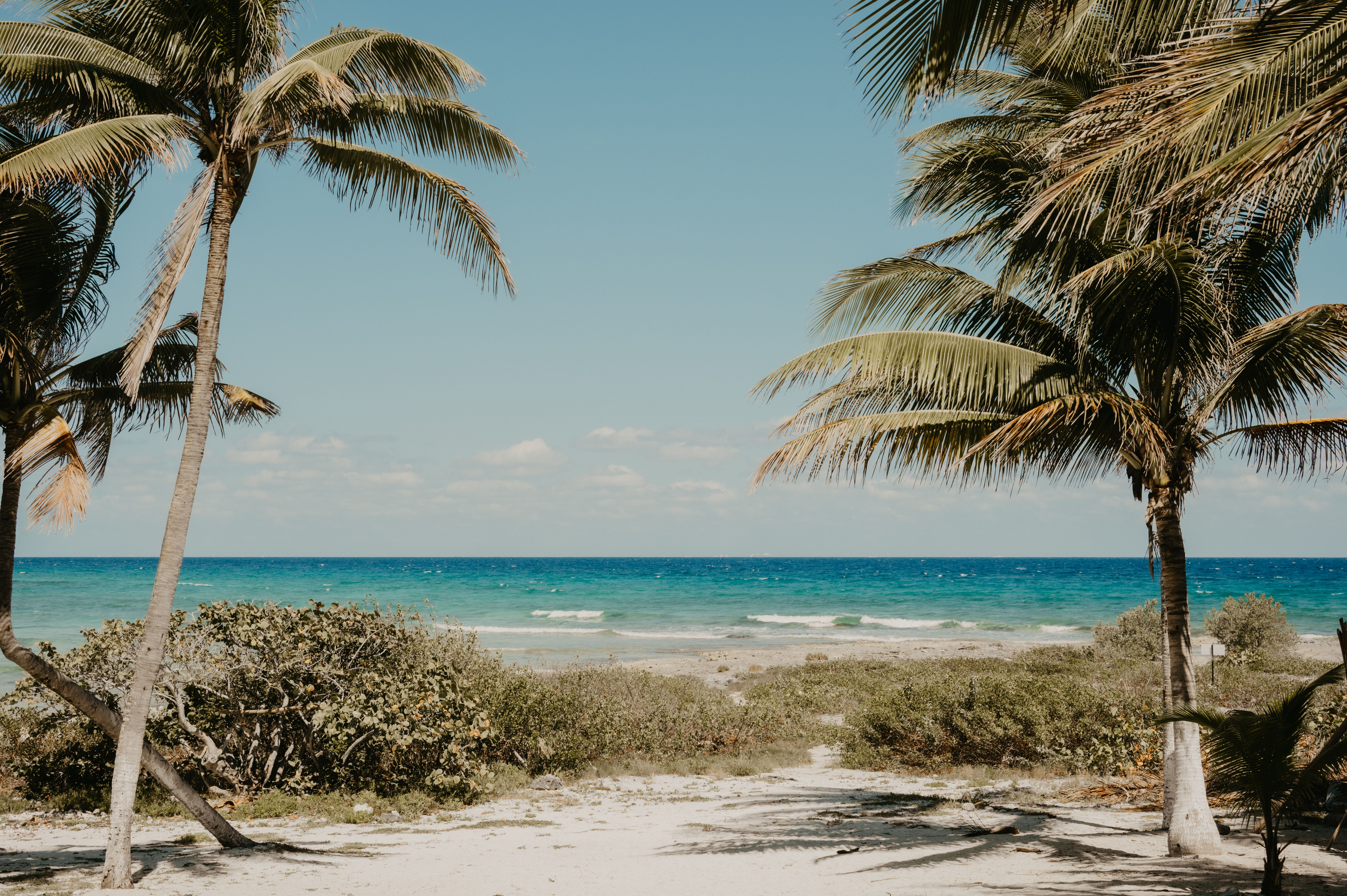 Blue venado wedding paradise